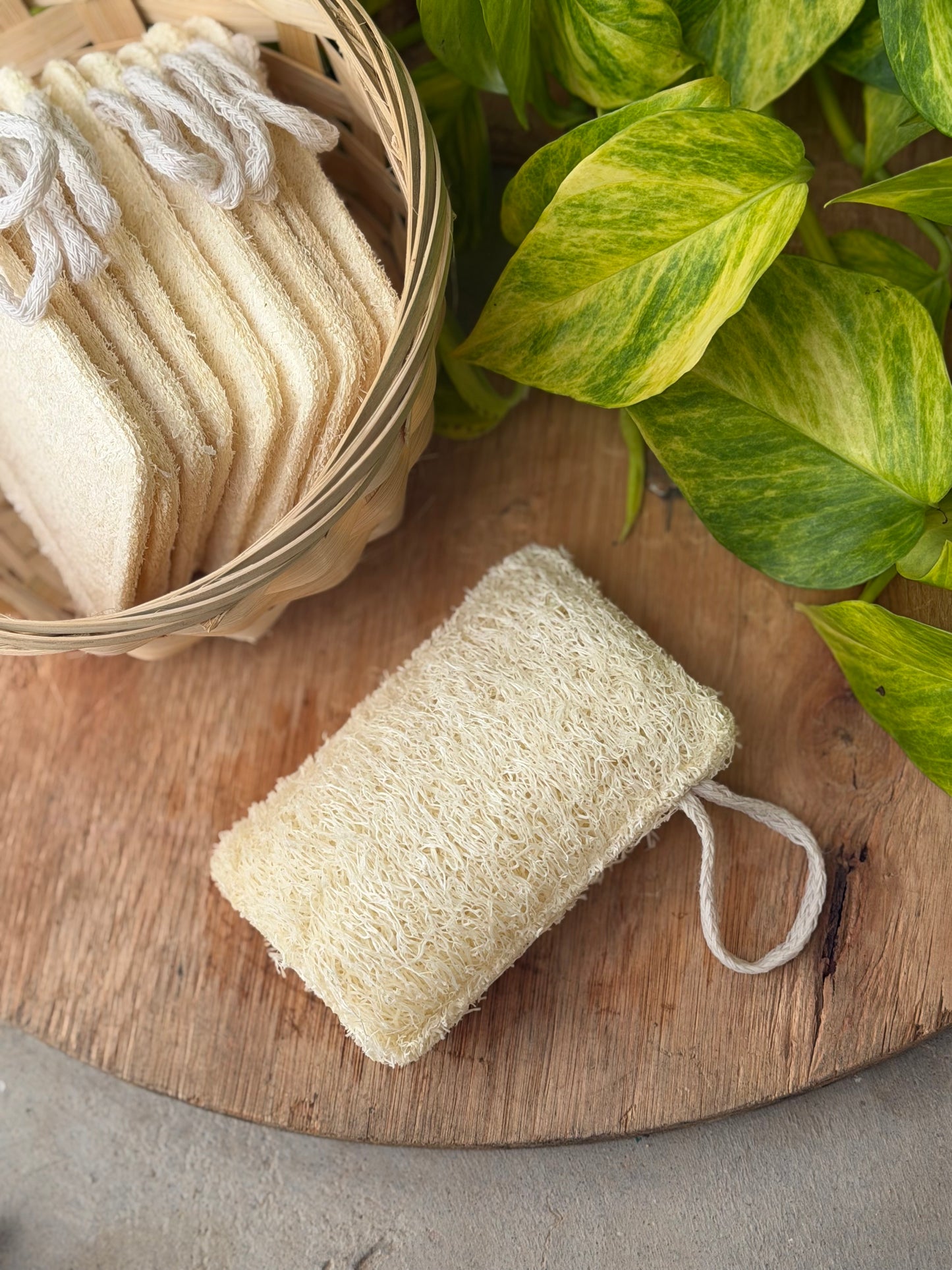 Desert Rain Body Wash + Loofah