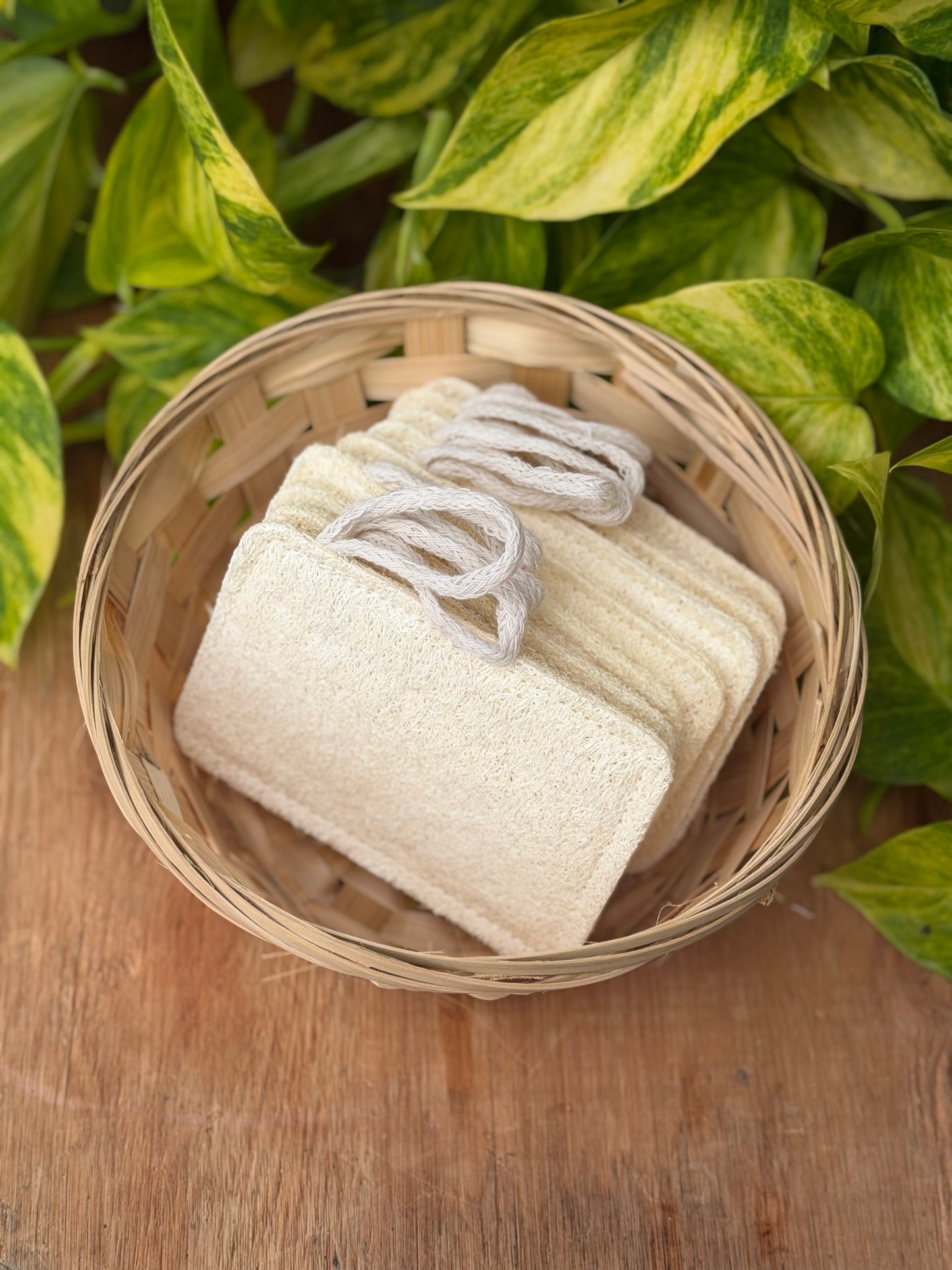 Loofah