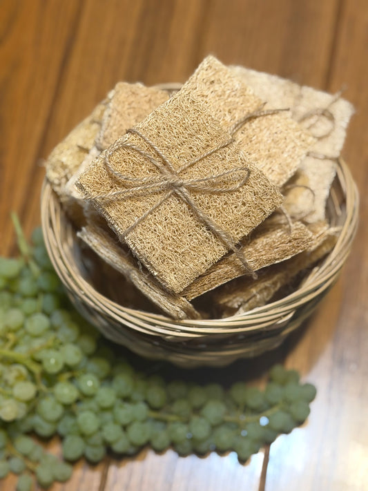 3 Pack Sponges