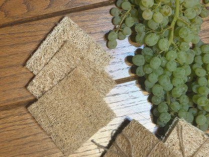 3 Pack Dish Sponges