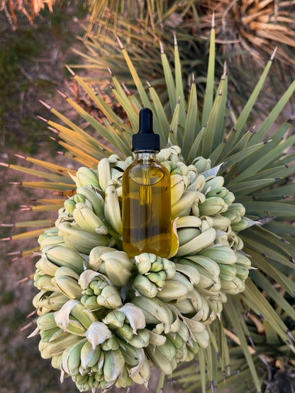 Olive & Root Serum