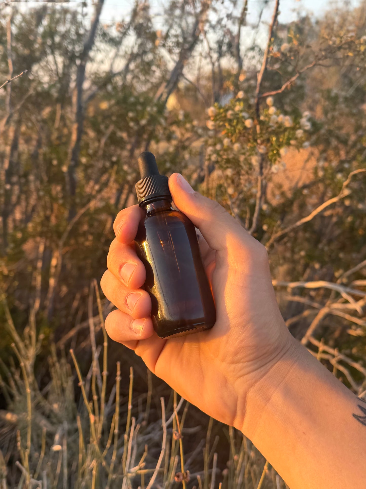 Olive & Root Serum