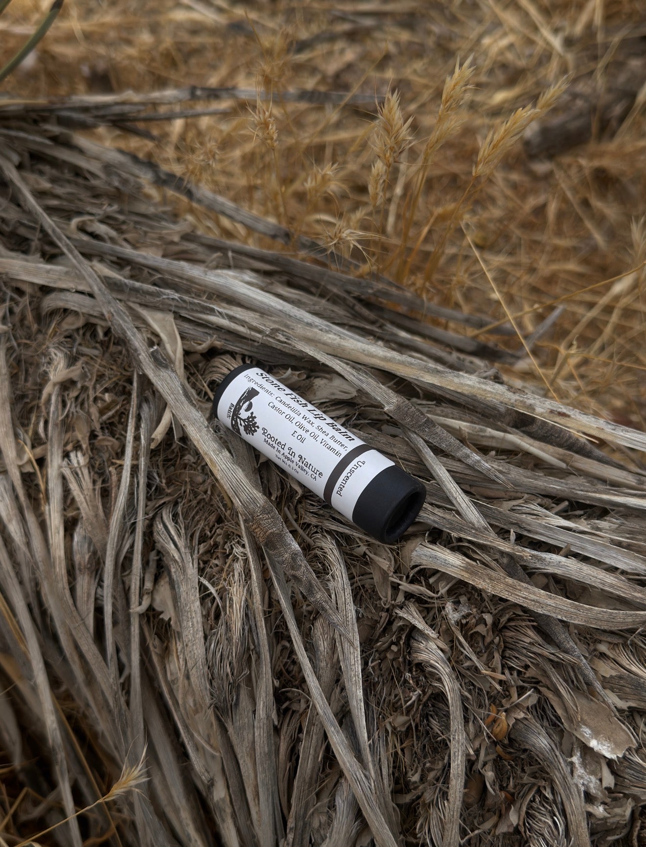 Lip Balm